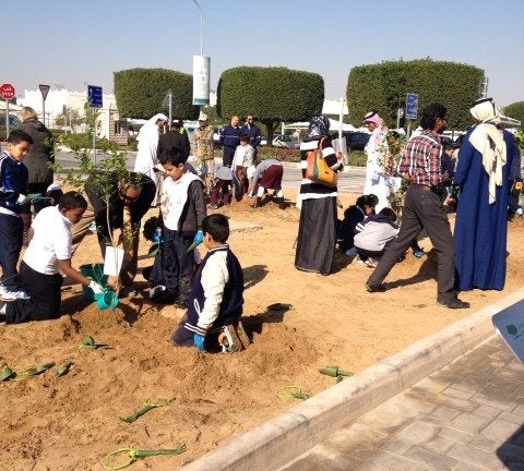 A Million Trees Start with One Seed