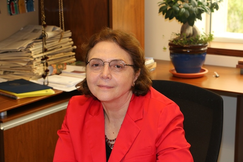 Professor Amira El-Zein