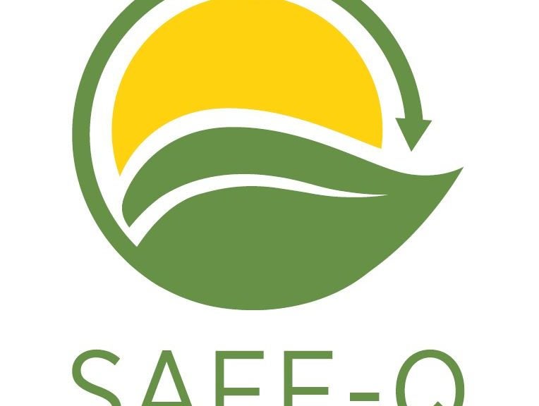 SAFE-Q