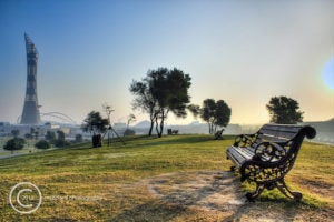 A bench on the right located on top of a hill in Apire Park, with trees and greenery and the Torch building in the background.