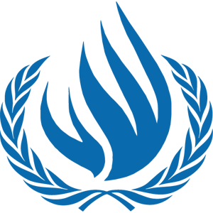 Human Rights Council