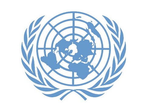 The United Nations Security Council