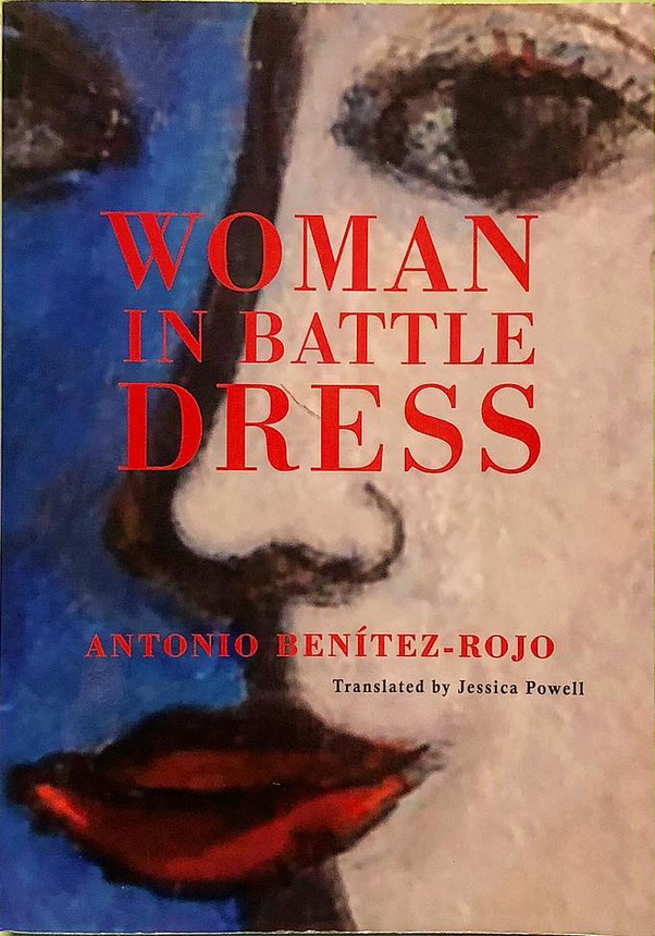 Woman in Battle Dress book