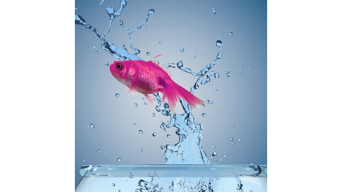 Dr. Danyel Reiche on the Outlooks for Major Sporting Events in 2022