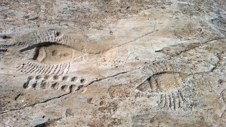 al-jassasiya-rock-carving-qatar.7f32234a.fill-1200x630