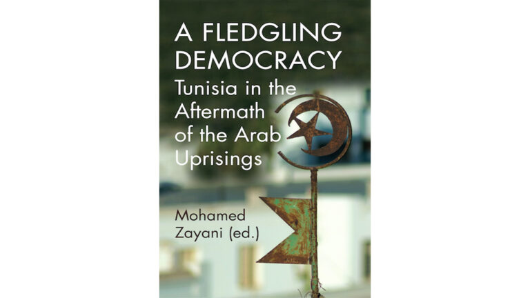 A feldging democracy2