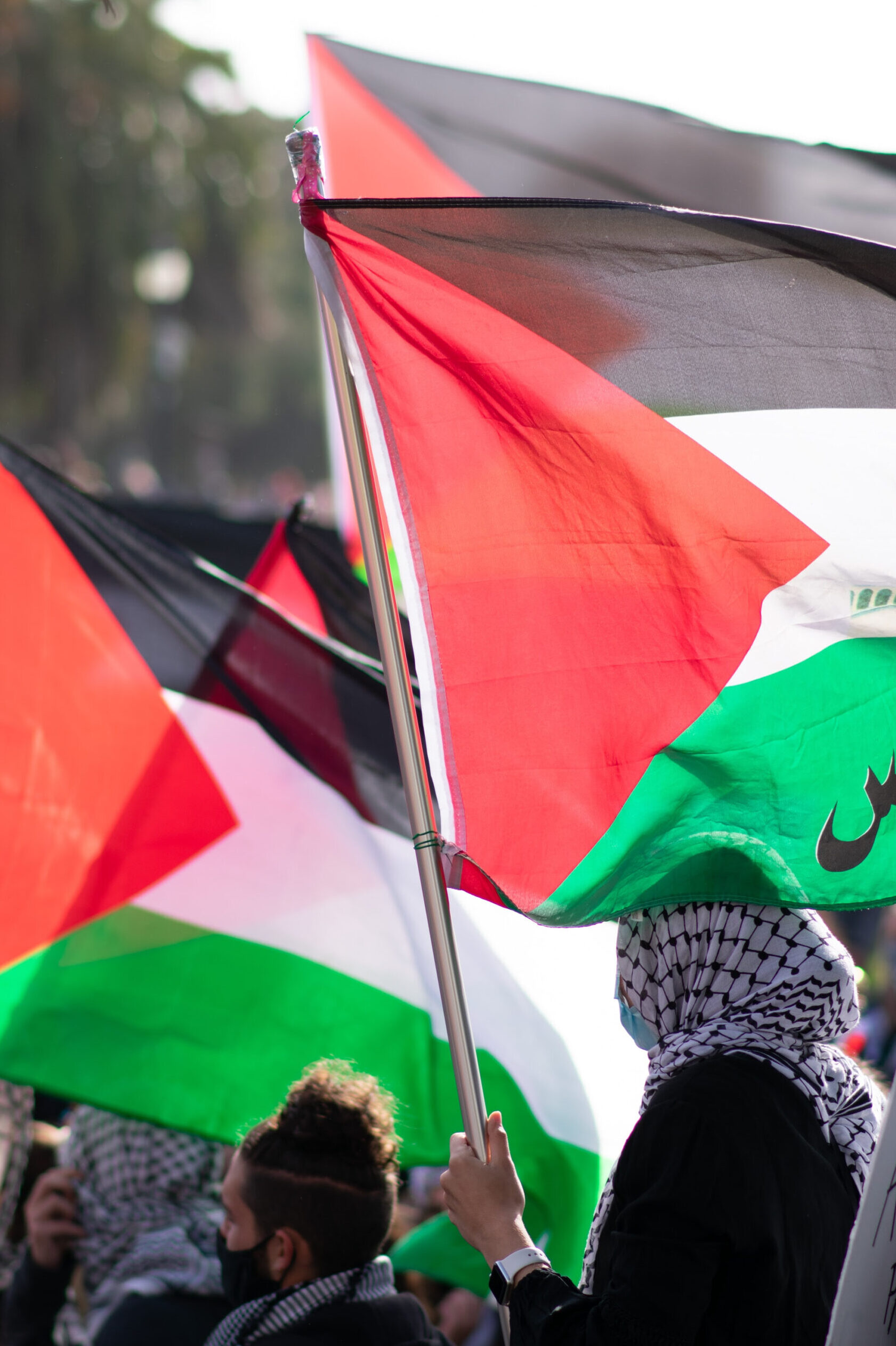 International Courts & Palestine: Challenges and Opportunities