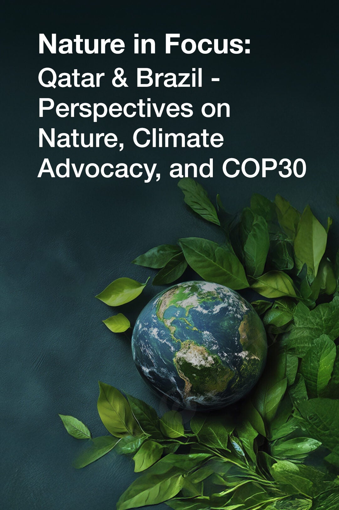 Nature in Focus: Qatar & Brazil